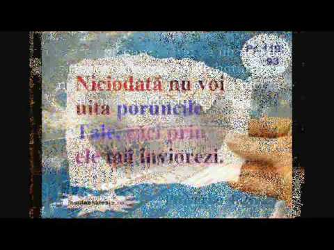 Lidia Cirlan & Puiu Chibici -  Multe drumuri