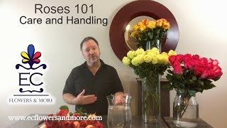 Download Lagu EC Flowers u0026 More - Rose 101 - Care and Handling Thumbnail