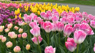 Arboretum Minnesota 🇺🇸