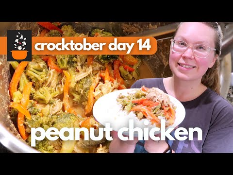 Crocktober Day 14: High-Protein, Low-Calorie Peanut Chicken | Easy & Healthy Slow Cooker Dinner