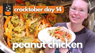 Crocktober Day 14: High-Protein, Low-Calorie Peanut Chicken | Easy & Healthy Slow Cooker Dinner
