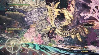 Mhxx 天彗龍流 狩人道場 ギルド片手剣ソロ 0分針 バルファルク أغاني Mp3 مجانا Mhxx 天彗龍流 狩人道場 ギルド片手剣ソロ 0分針 バルファルク أغاني Mp3 مجانا