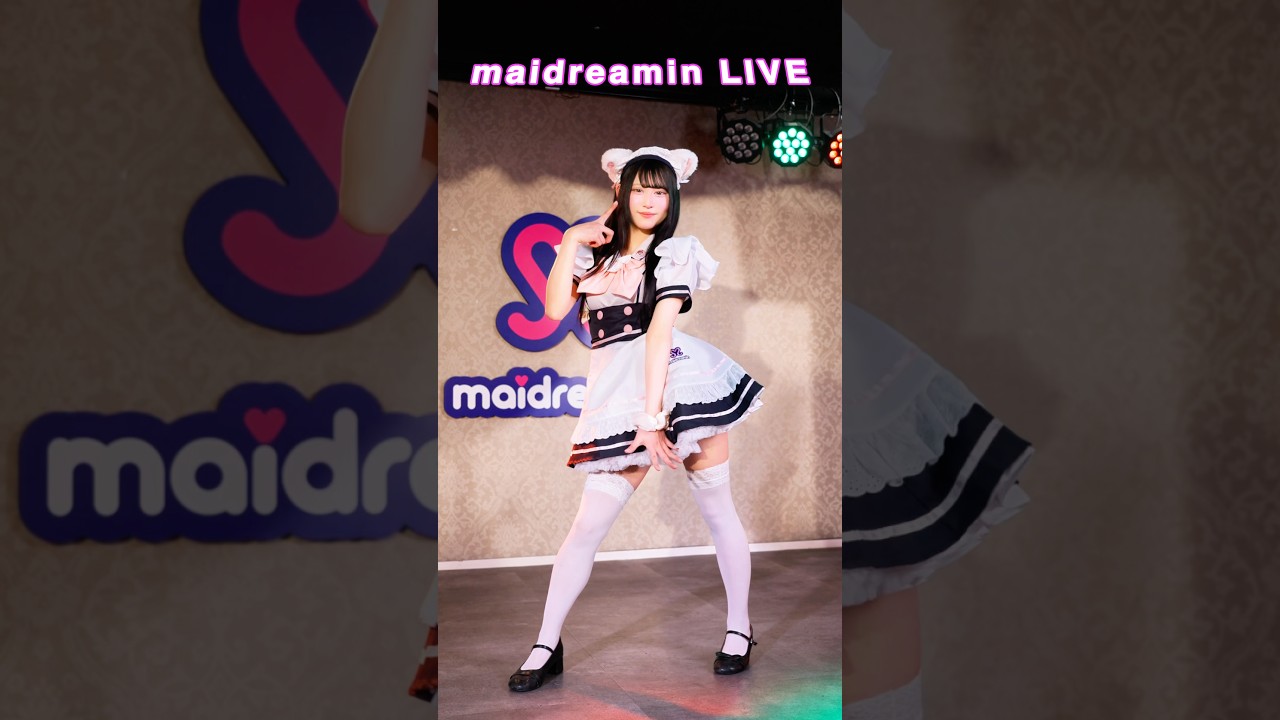 めいどりーみん秋葉原アイドル通り店「あまにゃん」のライブステージ❣️めいどりーみんで迫力あるライブを観に入国しませんか？✨ #メイドカフェ #秋葉原 #わるきー #渡辺美優紀  #nmb48