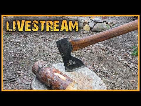 Naturensöhne Livestream #5 - Blockhaus, LTE und Strom im Bunker - Outdoor Bushcraft Deutschland