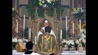 preview picture of video 'Fraternità San Pio X   Vacanza-Famiglie 2008'