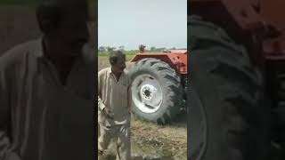 Download lagu Dangerous snake in Wheat crops #snake #crops #cobra mp3 Download lagu Dangerous snake in Wheat crops #snake #crops #cobra mp3