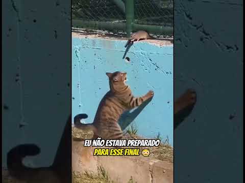 Tenho faca e meto bala kkkkkkkkk ia