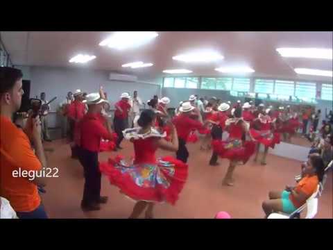 Gíbaro de Puerto Rico - Plena "Una Noche en Borinquen"
