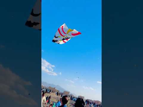 Wait for End #kitechallenge #kiteflying