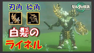 【ゼルダの伝説ティアキン】「白髪ライネルの砕角」「白髪ライネルの刃角」の入手法！「白髪のライネル」の居場所3か所