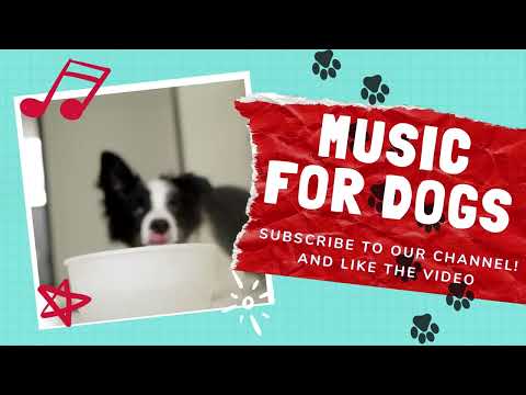 12 hour dog Relaxation music sleep screen with music for dogs #dogsleepmusic #doglover #shorts