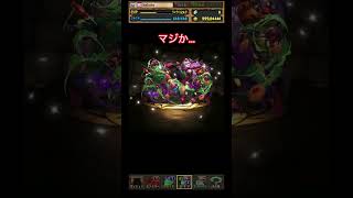 ハロウィン🎃前哨戦！#パズドラ