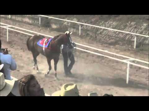 LA DEL FRENITO VS LA DE LA "A"