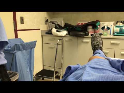 Kevin Levrone : Mr. Olympia 2016