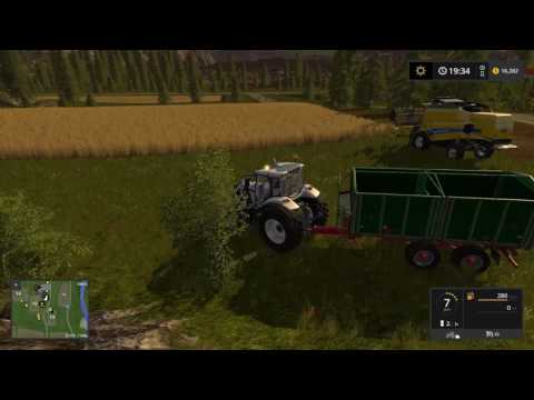 FS17 Goldcrest Valley E40 Broccoli and Bananas