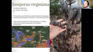 The Alvars of Québec