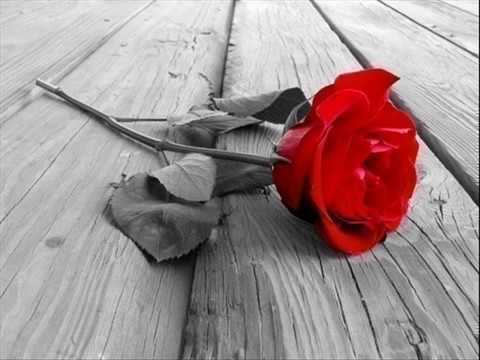 Gaz Tirona With Fever.wmv