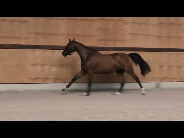 jumping
