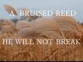 He Will Not Break A Bruised Reed by David Wilkerson | #sermon - #davidwilkerson #ahavajerusalem