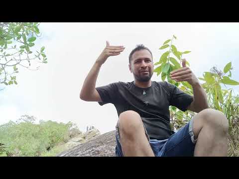 Breve historia de Quinini y el pueblo aguerrido Panche (Tibacuy, Cundinamarca)