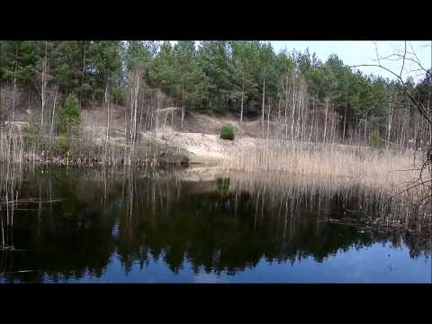 Breese, ein ruhiger Platz am Teich im Wald | 10.04.2018