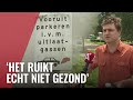 Bewoners Tuindorp Oostzaan nog altijd in de stank