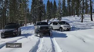 Snow Wheeling at Mormon Emigrant Trail - Tacomas & 4Runners