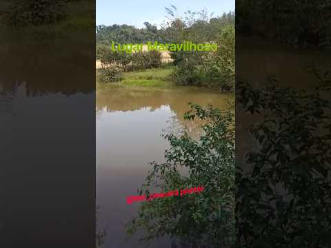 Cantinho da Geny / Laercio, Corumbatai do sul