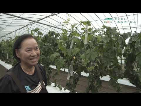 2022年7月1日(金)放送 ゴーヤー生産者の声