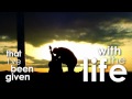 The Power of Your Name
