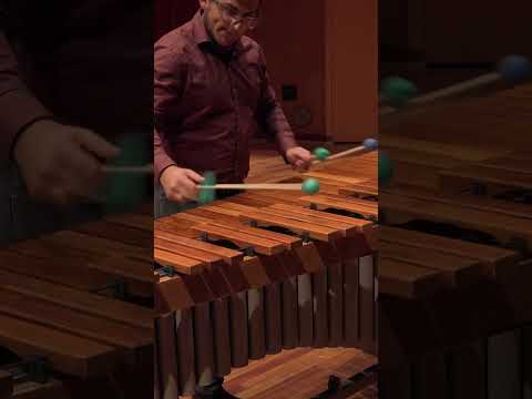 Beginning Caméléon by Eric Sammut