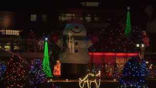 preview picture of video '2014 Festival of Lights Enchanted Forest Tree Lighting'