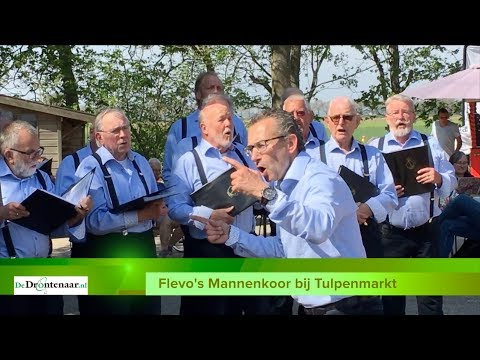 VIDEO | Flevo’s Mannenkoor bij tulpen voor ’t eerst met bretels: „Geweldige happening” VIDEO | Flevo’s Mannenkoor bij tulpen voor ’t eerst met bretels: „Geweldige happening”