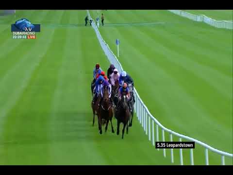 Coolmore Fastnet Rock Matron Stakes G1-  09\09\2017 - Hydrangea