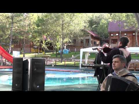 PETRICA ROTARU,OLEG ANTOCI,LILIAN GANEA- PETRECERE