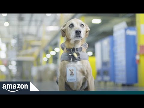 Amazon Packer And Sorter Warehouse Jobs We Are Hiring