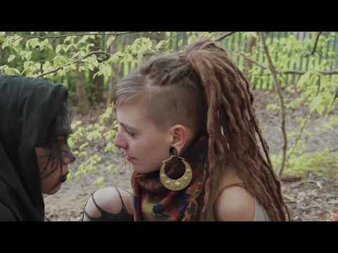 Last Night I Dreamt...