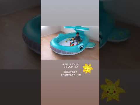 toit-terrasse-ville-jardin-aquatique-foyer-pierre