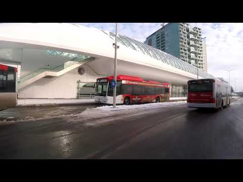 HTM lijn 20: Station Den Haag Centraal - Duinzigt - Station Den Haag Centraal | sneeuw | 2021