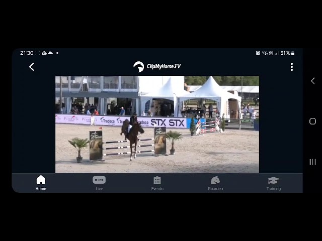 Talinka vd Zwartbleshoeve - Kampioen 4-jarigen