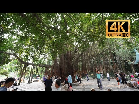 [Passeio a pé] Parque do Povo, cidade de Nanning, Guangxi