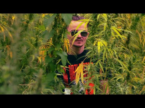 Zlý Funk - Vieš ne?!