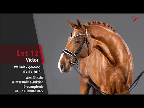 Winter Online-Auktion Lot 12 Victor Wallach v. Vitalis - Quaterhall