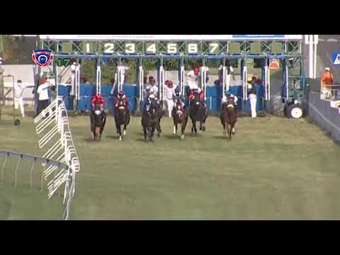 The Noble Salute Cup | Al Mariachi | V.A.Bundhoo