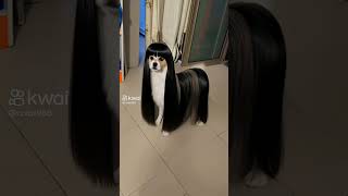 Quem aí gosta de cabelão? Rsrs