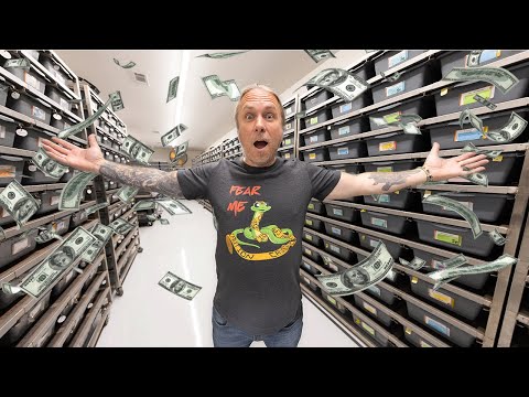 MOST EXPENSIVE SNAKE COLLECTION IN THE WORLD!!! | BRIAN BARCZYK