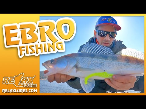 EBRO: THE DREAM FISHING PLACE? - RELAX LURES