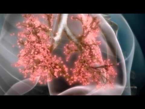 Priligy online pharmacy Priligy online pharmacy