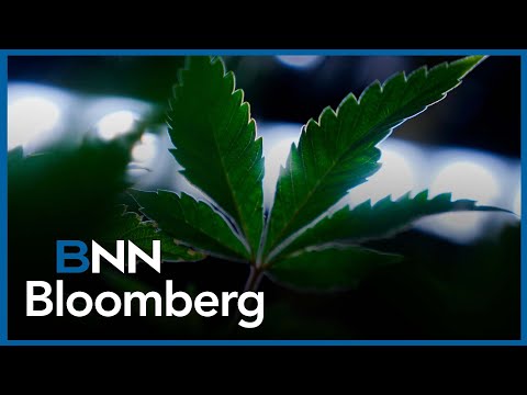'The company is one of the strongest balance sheets in the cannabis industry': Aurora Cannabis CEO