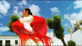 موسيقى يا رايح وين مسافر